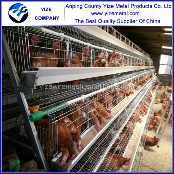 china manufacturer layer chicken cage type two side/layer poultry manual cages