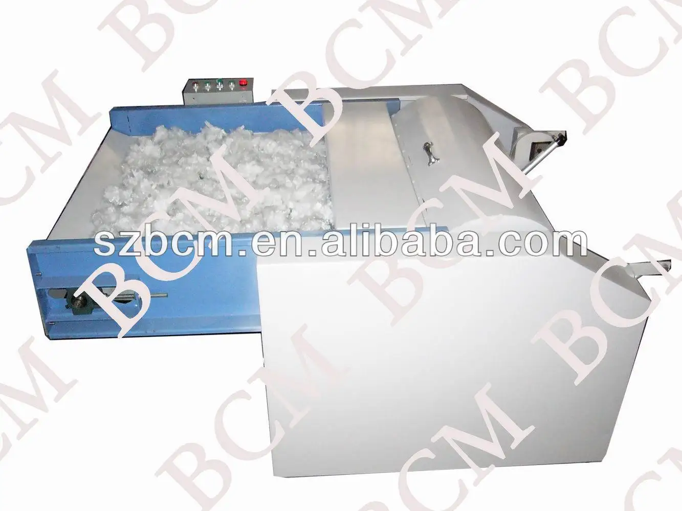  P1060713.JPGgaiNEW .jpg