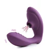 Clitoral Sucking Vibrator G Spot Sucker Vibrator for Female Orgasm, Treediride Dual Motor 10 Vibration Modes Vagina Massager