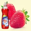Customized high efficeient kitchen dishwaching liquid