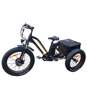 3 wheeled electric bike