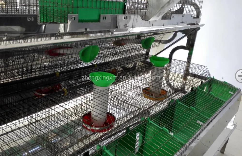 Easy Installation Commercial Rabbit Farming Cages / Rabbit Breeding