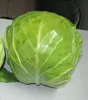 Cruciferous Vegetable cabbage good health cabbage