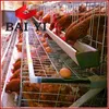 High Quality Used Layer Chicken Cages in Andhra Pradesh Poultry Farm Battery Cage System