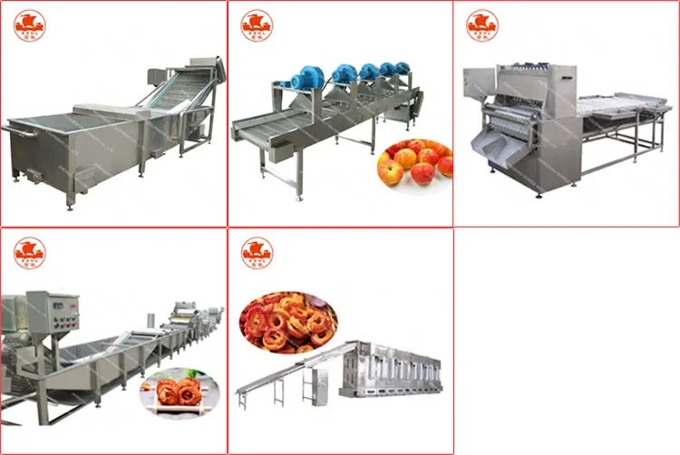 Fully Automatic Crab Apple Peeling,Poking And Slicer Drying Machine