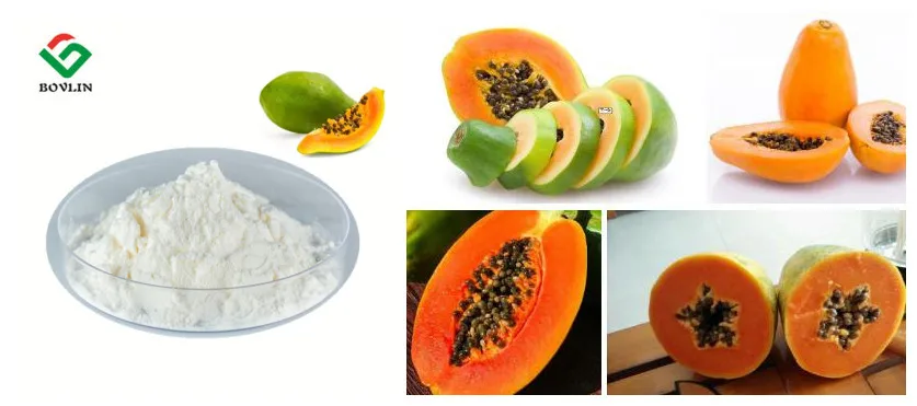 Papaya powder.jpg