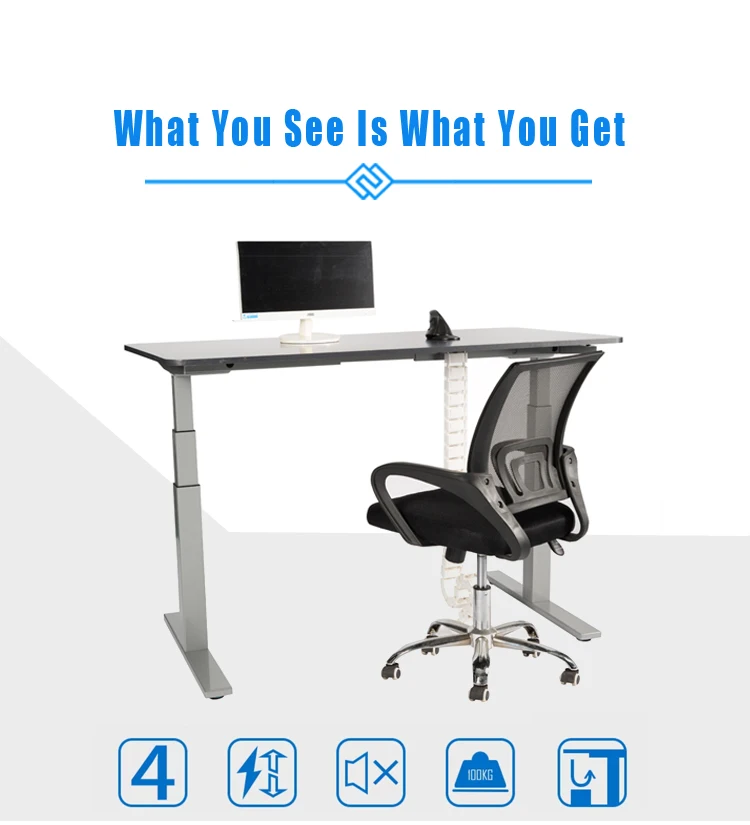 Electric Dual Motor Computer Desk Height Adjustable Sit Stand