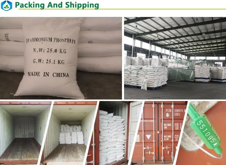Diammonium Phosphate, 21-53-0 DAP, 99% min Diammonium Phosphate Price