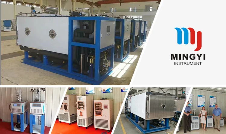 lyophilizer freeze dryer