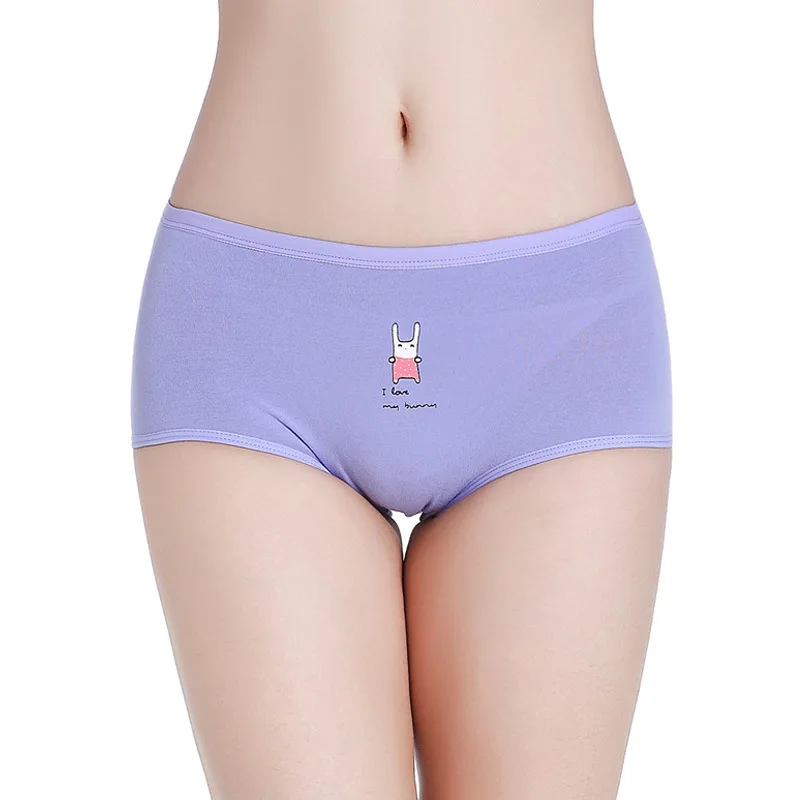 Period Panties Big Size Protective Menstrual Knickers Absorbent