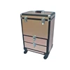 Best Seller Makeup Trolley Case, Travel Luggage Cosmetic Organizer, OEM/ODM Rolling Train Case