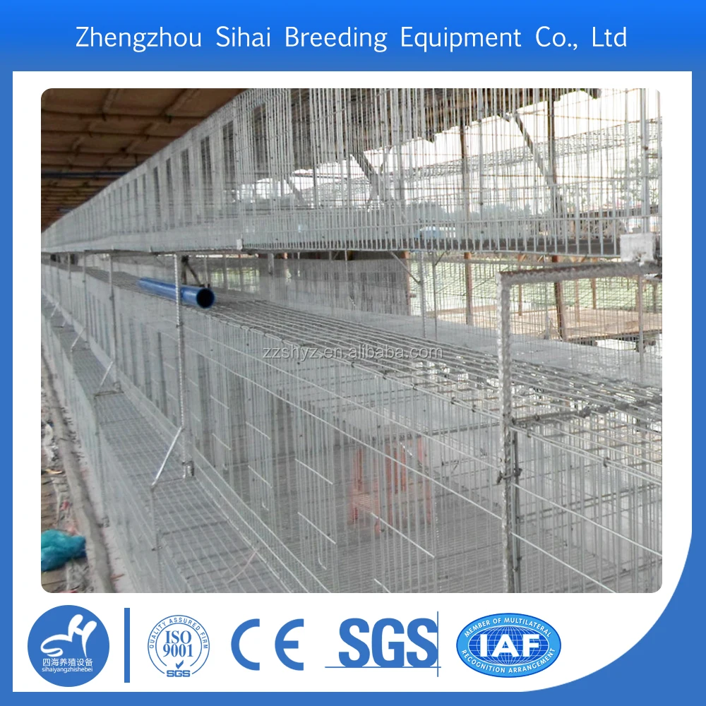 Super Sales Galvanized Material Quail Breeding Cages Used For Poultry Farm Buy Quail Breeding Cagesgalvanized Material Quail Breeding Cagesquail