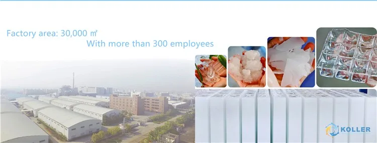 Ice Machines, 3tons, Dk30 - detail 40