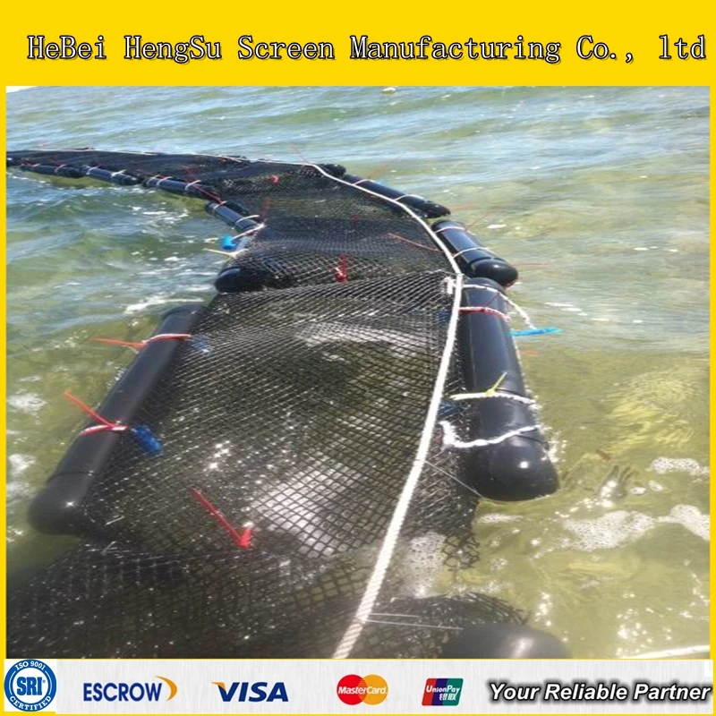 photo-002(04-16-10-16-25)