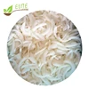 IQF Frozen Sliced Onion Organic with lowest price