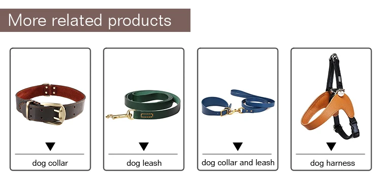 dog collar leash(1).jpg