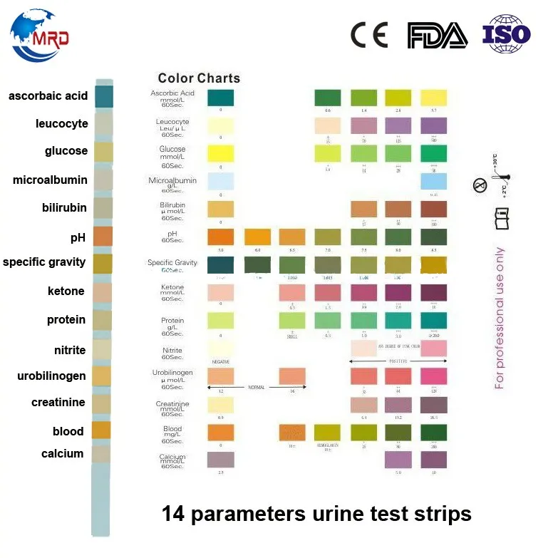 Urinalysis Reagent Test Strips For 10 Parameters Blood,Ketone,Glucose ...