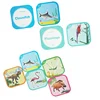 2019 Cheapest Insect learning 4d card stem toys five animal learning cards