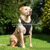 Front Range No-Pull Outdoor Adjustable Reflective Easy Control Pet Harness