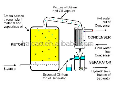steam-distillation