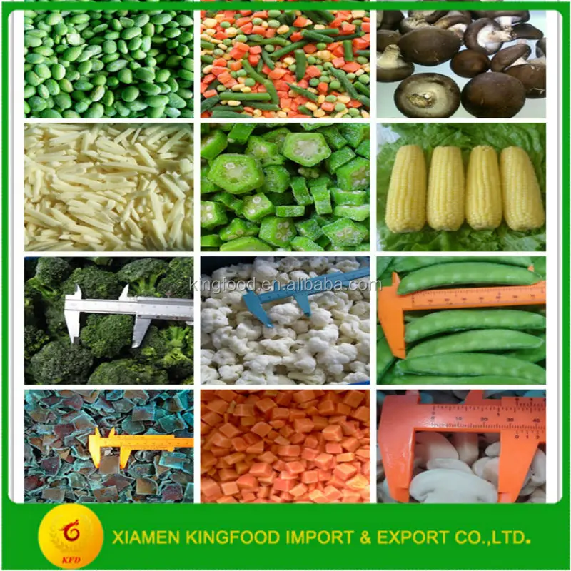 Spicy Canned Sardine in Spicy Oil in Oval Can