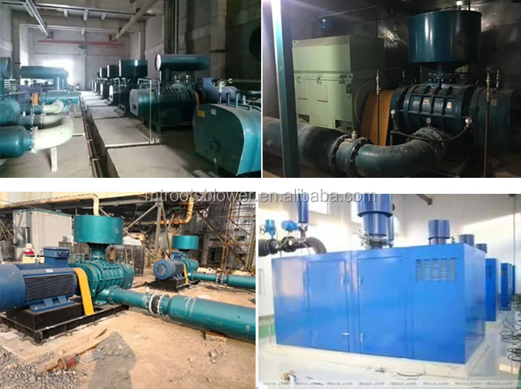 Coupling Drive Roots Type Blower Used for Pressure Swing Absorption/Vacuum pressure swing adsorption