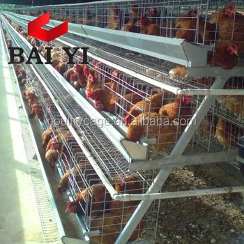 Download 120 Birds 160 Birds Egg Chicken Layer Cage Price In ...