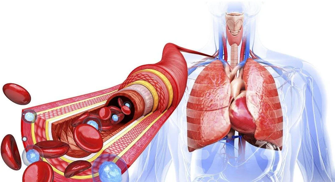 知识问答(How to treat bone hyperplasia with the best effect)