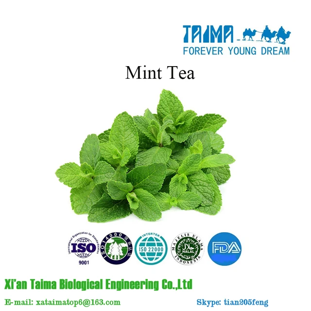 mint green tea extract