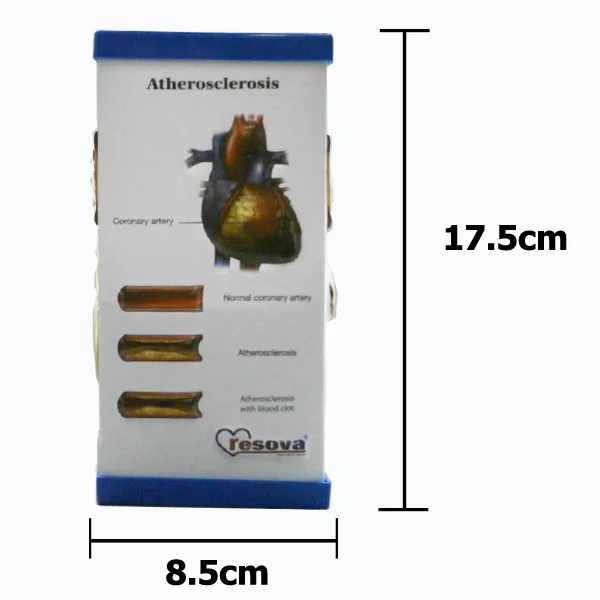 Promotional Handmade 3D Embossed Plastic Medical Doctor Desk Pen Holder With Note Pad