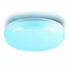 Smart Ceiling Light Home Decorative LED Ceiling Light Lamp Multi Colors Visual Effects Surface Mounted LED Ceiling Light Remote