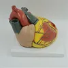 Custom top quality visceral surgery bio- and medical wholesale medical supplies green small clip applicator