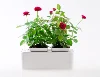 planters nuts pots for plants