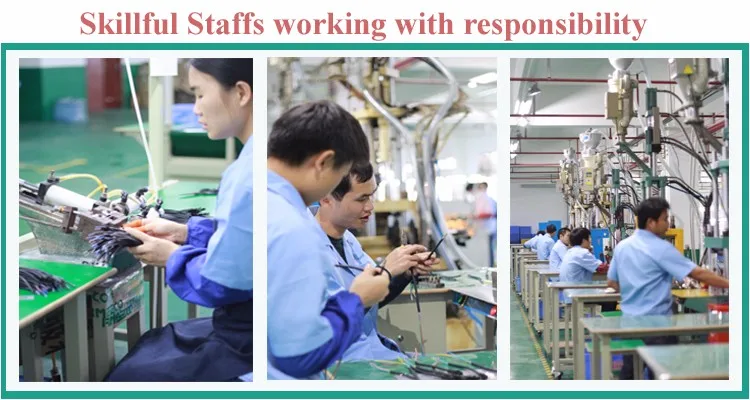skillful staffs