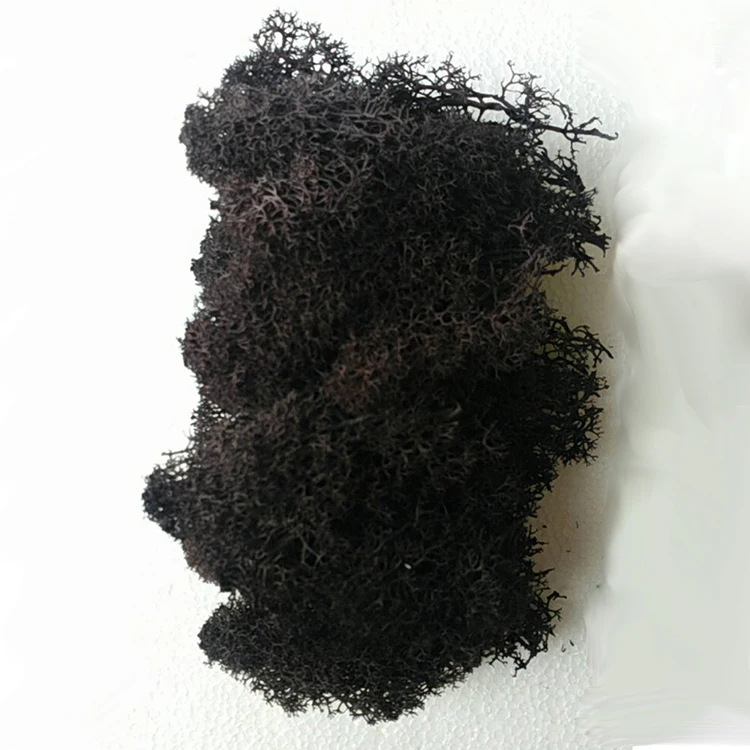 Wholesale Best Quality Kunming Grade A Preserved reindeer moss for Wall Decoration