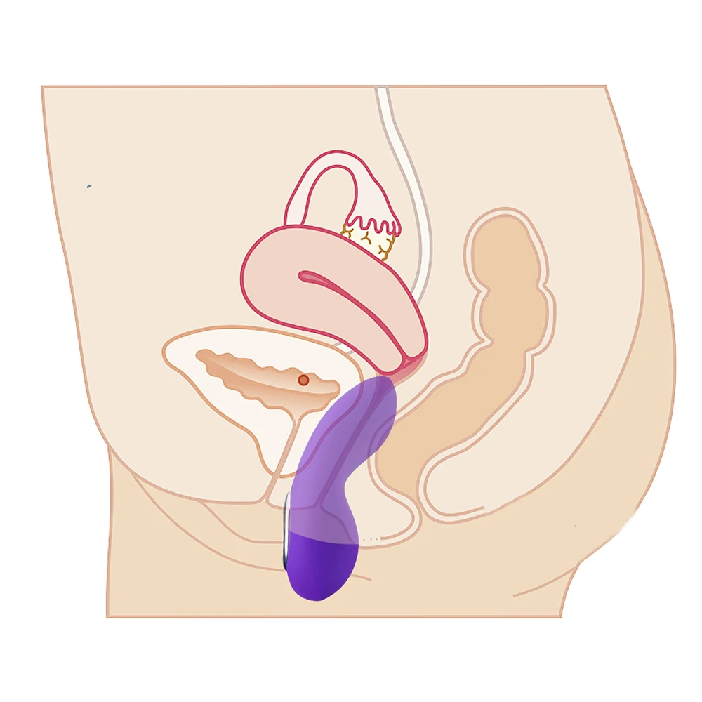 Vaginal length kegels