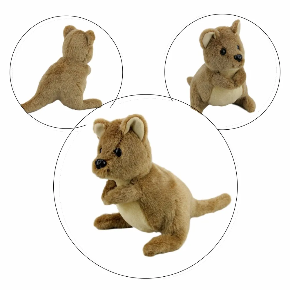 quokka soft toy