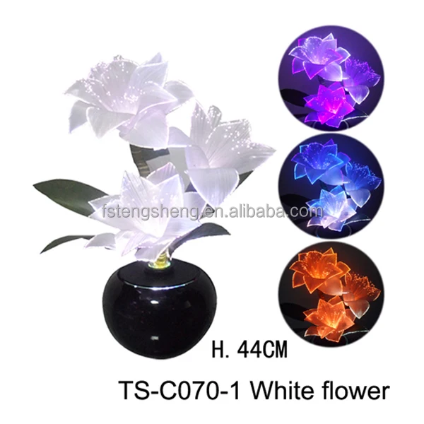 TS-C070-1 white POINSETTIAS.jpg