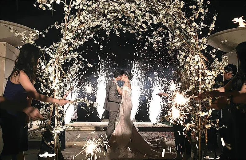 750w冷烟花机dmx远程火花烟花爆竹烟火机喷火舞台婚礼烟花烟机