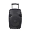 /product-detail/rqsonic-pml12amxq-u2bp-bt-trolley-rechargeable-p-audio-12-inch-speaker-60555543632.html