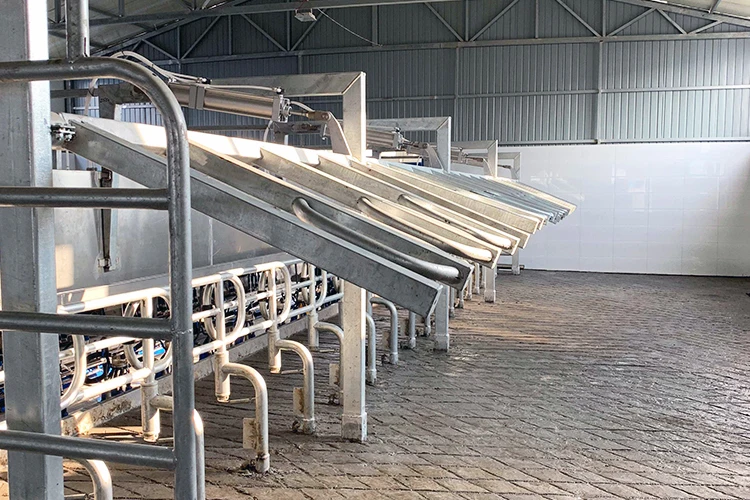 Automatic milking system cow milking machine price in India