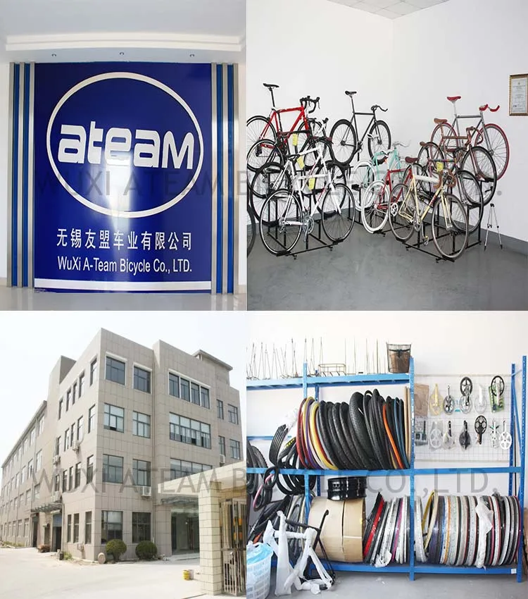 Company Introduction.jpg