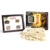 Ammonite Fossil Photo Frame Dig Kit, 4 Assorted, Fossil Stone Prices
