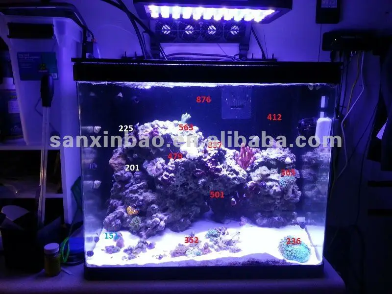 Evergrow It2060 Programmable 72 Inch Aquarium Led Lights For Fish Tank