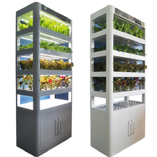 Greenhouse Hydroponics Growing Systems For Home Growing Fruits,Vegetables,Leafy Greens,And