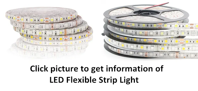 Neon Light Related 1.jpg