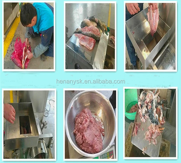 IS-CY-150 Fully Automatic Fish Meat Bone Separator Stainless Steel Fish Flesh Separator