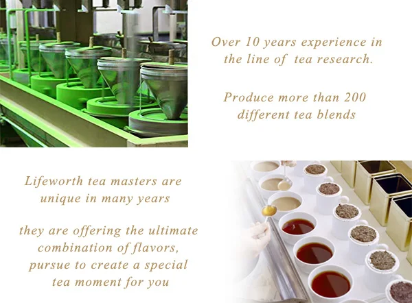 Lifeworth Japan collagen matcha drink green tea - 4uTea | 4uTea.com