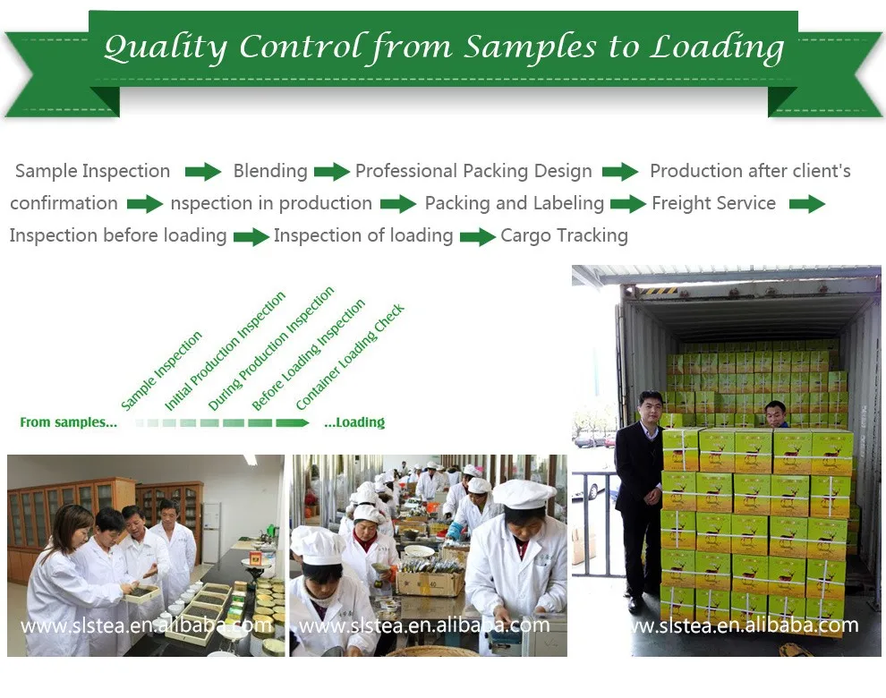 Best Chinese tea brands WANGGUANGXI chunmee green tea 41022 8A top quality - 4uTea | 4uTea.com