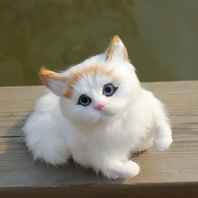 cute furry cat